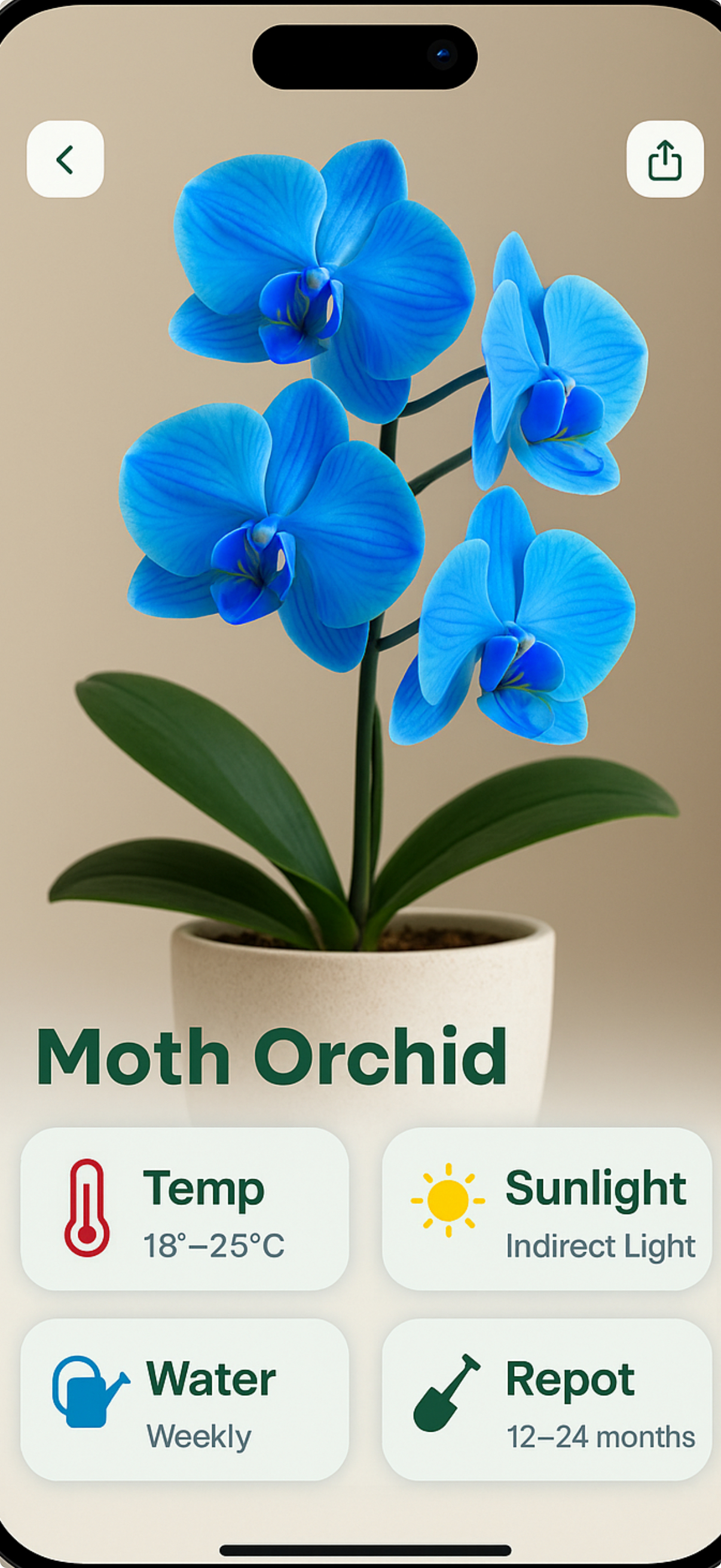 Plant Identification - PlantAt