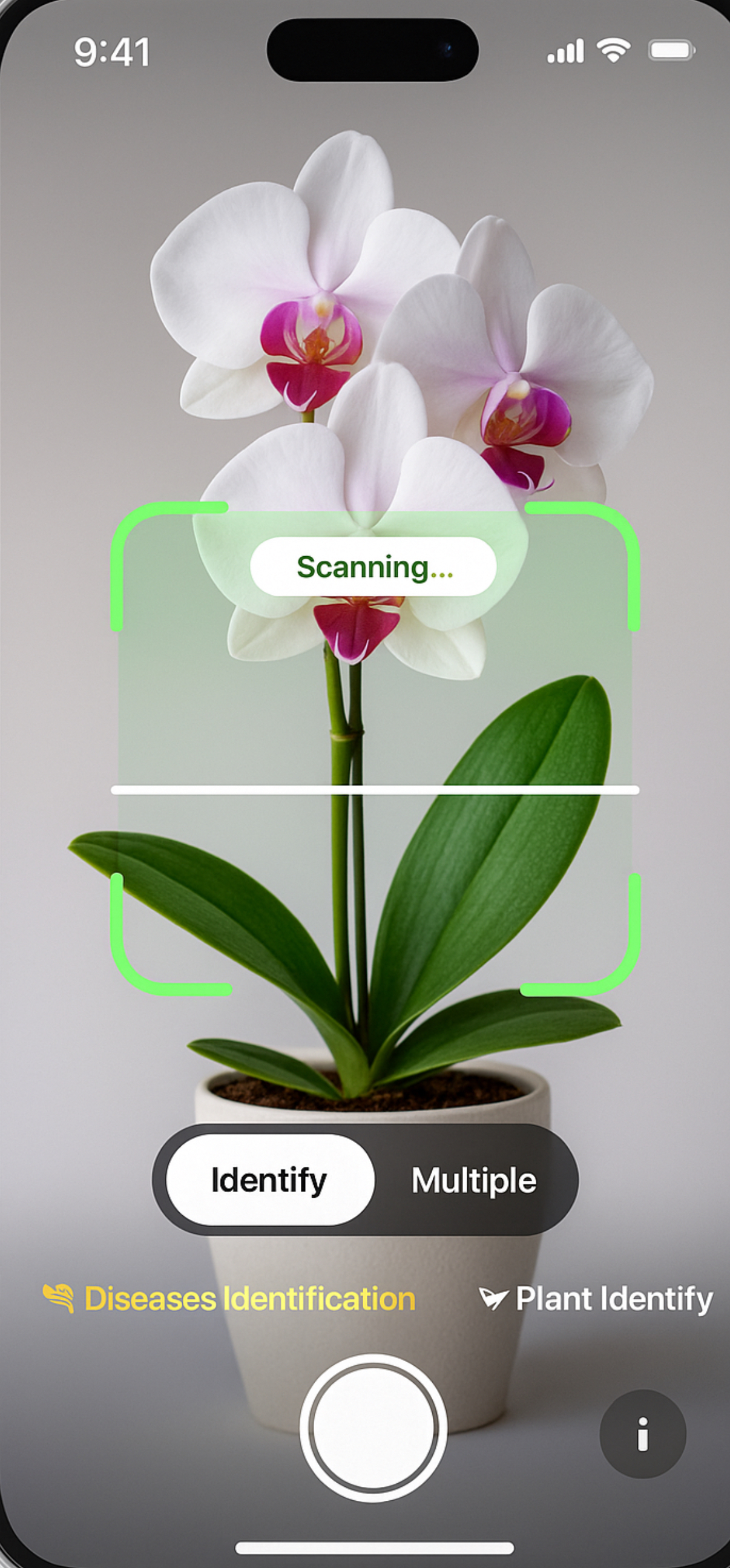 PlantAt app screenshot